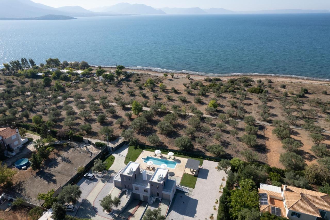 Marea Twins Villas Дросия Екстериор снимка